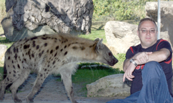 edgehyena