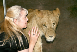 edgelion2
