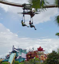 pteranodon-flyers-250