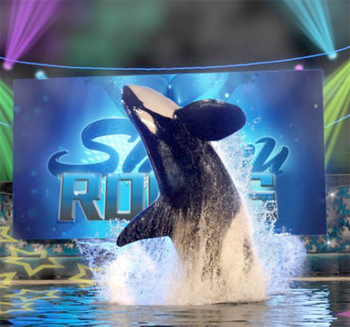 shamu_rocks