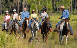 horseriding
