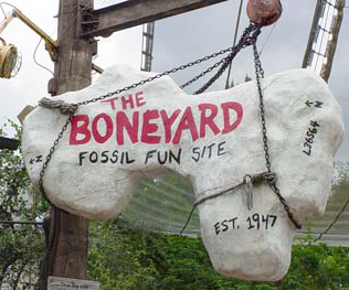 boneyard