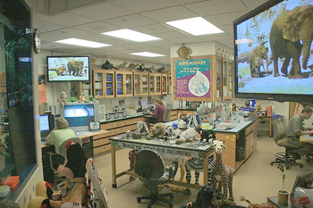 conservation-station