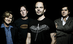 gin-blossoms