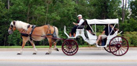 carriage_rides